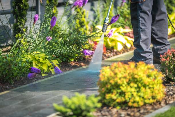 Best Animal Enclosure Cleaning  in Mammoth Spring, AR